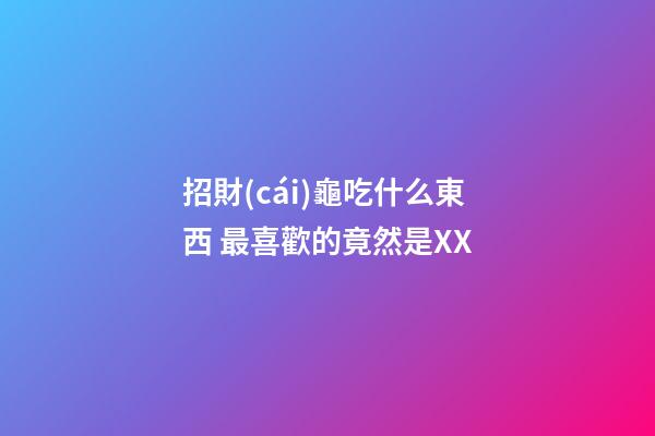 招財(cái)龜吃什么東西 最喜歡的竟然是XX
